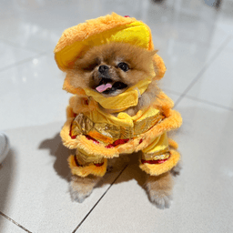 AA